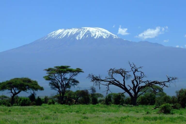 Ascension du Kilimandjaro